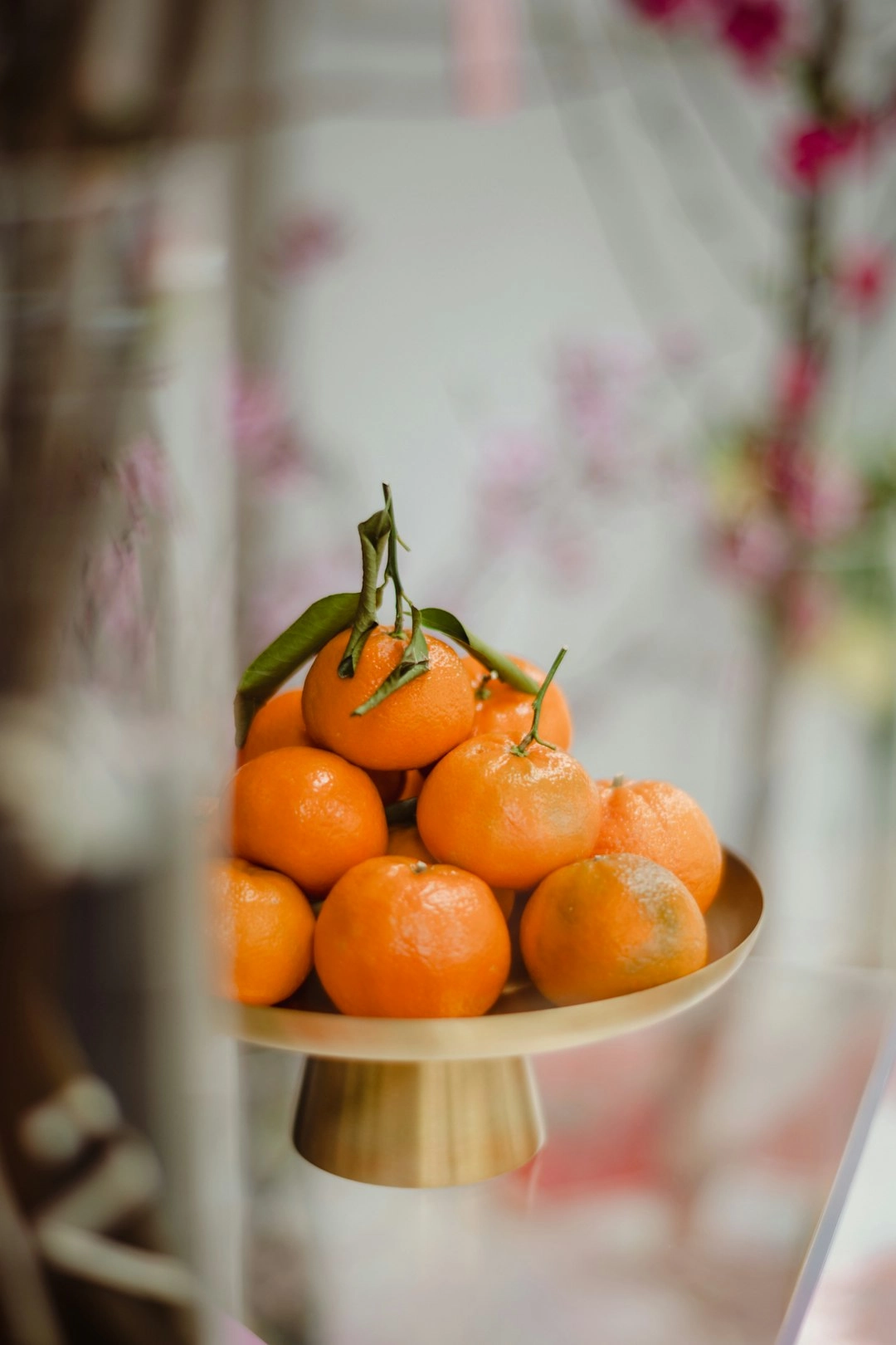 柑橘類水果切面，象徵天然抗氧化力